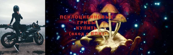 твердый Богородск