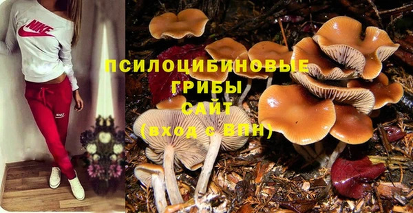 твердый Богородск