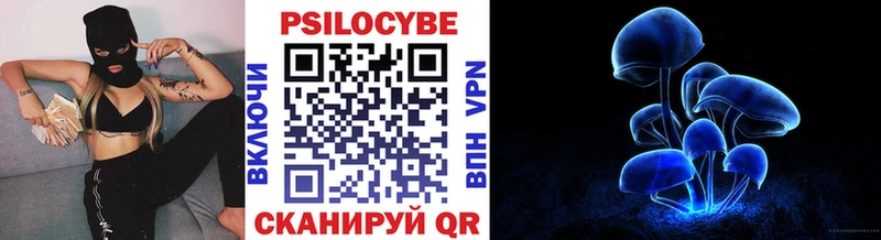 Галлюциногенные грибы Cubensis  Купить где  Урус-Мартан 